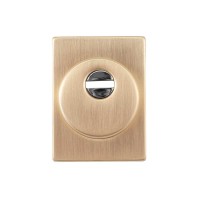 Броненакладка Protect 25mm з декоративною накладкою 60X80 мм SG мат золото