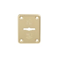 06082.00.0 Накладка CISA (5643)